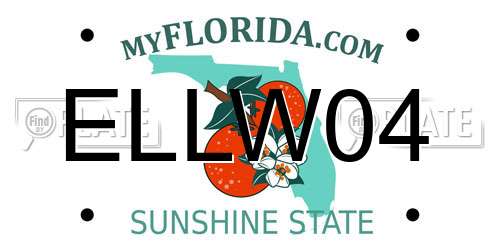 ELLW04 Florida License Plate