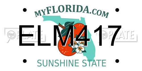 ELM417 Florida License Plate