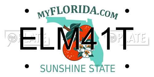 ELM41T Florida License Plate