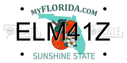 ELM41Z Florida License Plate