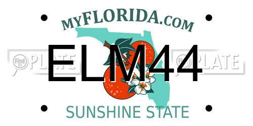 ELM44 Florida License Plate