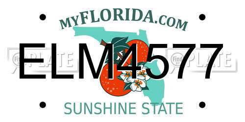 ELM4577 Florida License Plate
