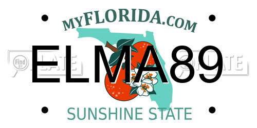 ELMA89 Florida License Plate