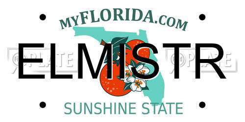 ELMISTR Florida License Plate