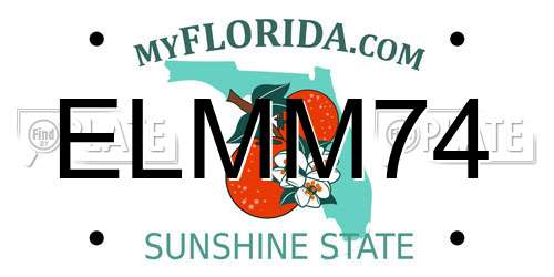 ELMM74 Florida License Plate