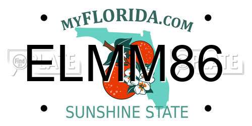 ELMM86 Florida License Plate