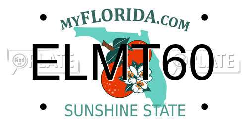 ELMT60 Florida License Plate