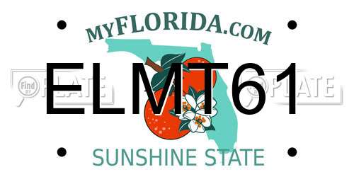 ELMT61 Florida License Plate