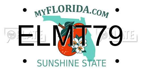 ELMT79 Florida License Plate