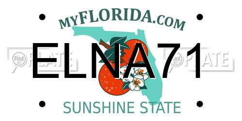 ELNA71 Florida License Plate