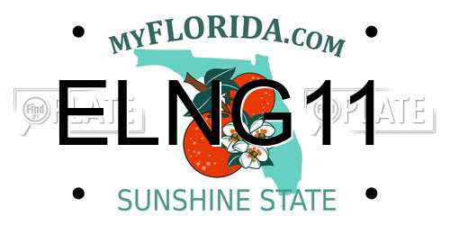 ELNG11 Florida License Plate