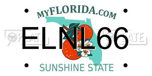 ELNL66 Florida License Plate