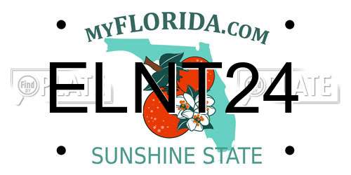 ELNT24 Florida License Plate