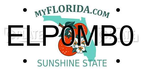 ELP0MB0 Florida License Plate