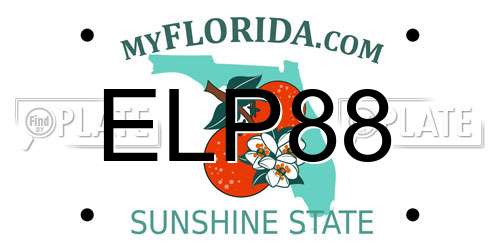 ELP88 Florida License Plate
