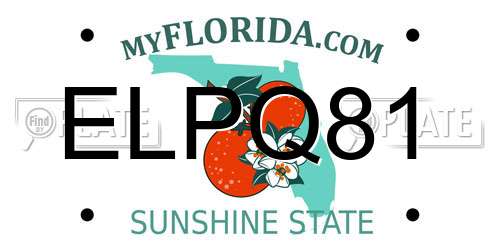 ELPQ81 Florida License Plate
