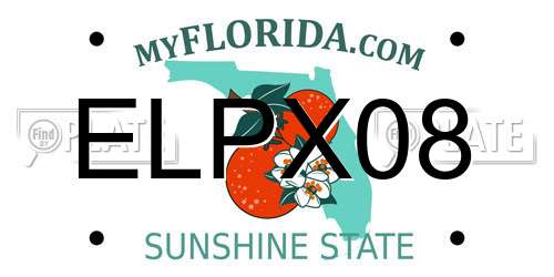 ELPX08 Florida License Plate