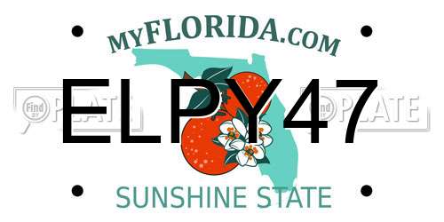 ELPY47 Florida License Plate
