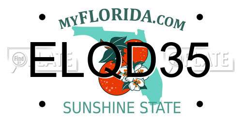 ELQD35 Florida License Plate