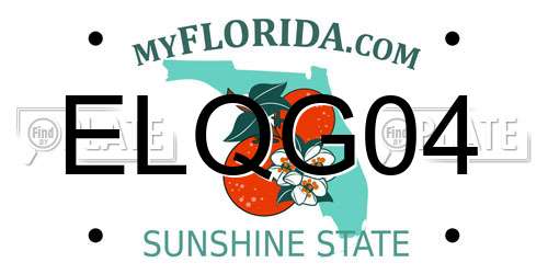 ELQG04 Florida License Plate