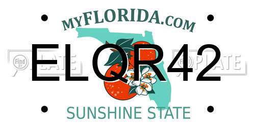 ELQR42 Florida License Plate
