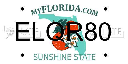 ELQR80 Florida License Plate