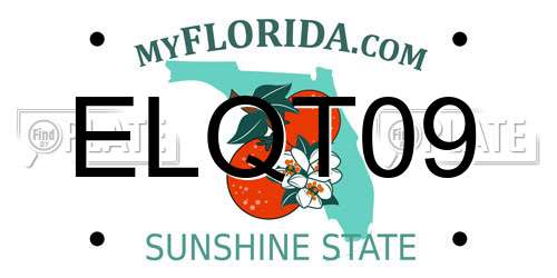 ELQT09 Florida License Plate