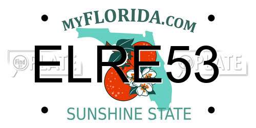 ELRE53 Florida License Plate