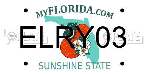 ELRY03 Florida License Plate