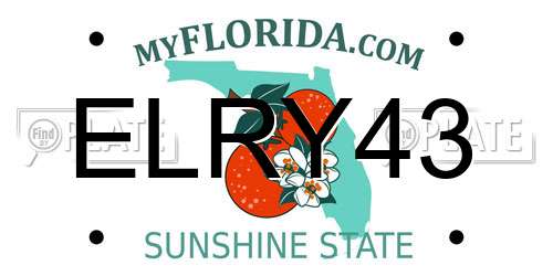 ELRY43 Florida License Plate