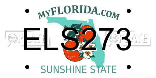 ELS273 Florida License Plate