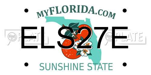 ELS27E Florida License Plate