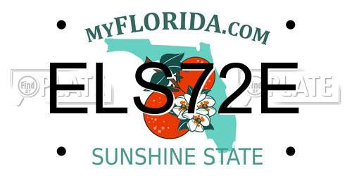 ELS72E Florida License Plate