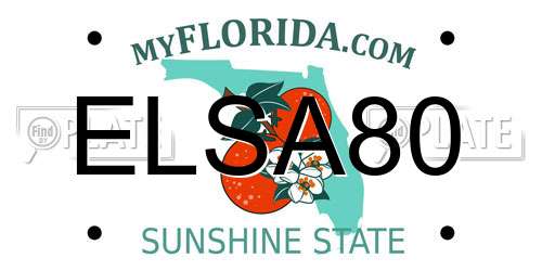 ELSA80 Florida License Plate