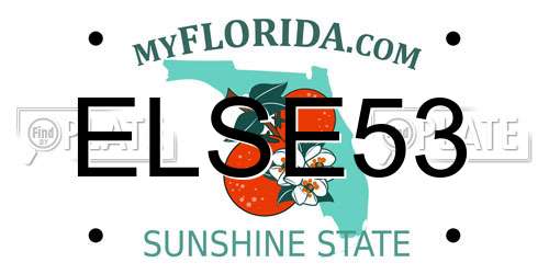 ELSE53 Florida License Plate