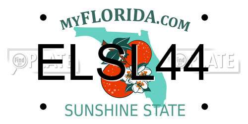ELSL44 Florida License Plate