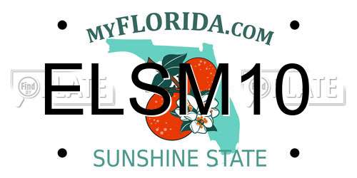 ELSM10 Florida License Plate