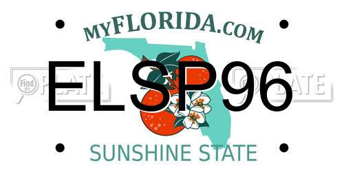 ELSP96 Florida License Plate
