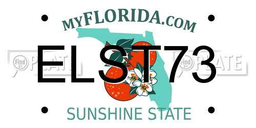 ELST73 Florida License Plate