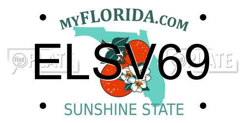 ELSV69 Florida License Plate