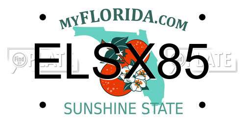 ELSX85 Florida License Plate