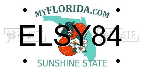 ELSY84 Florida License Plate