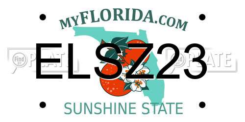 ELSZ23 Florida License Plate