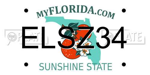 ELSZ34 Florida License Plate