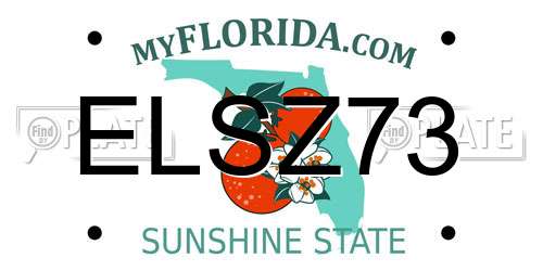 ELSZ73 Florida License Plate