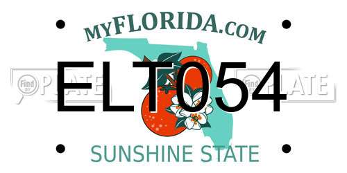 ELT054 Florida License Plate
