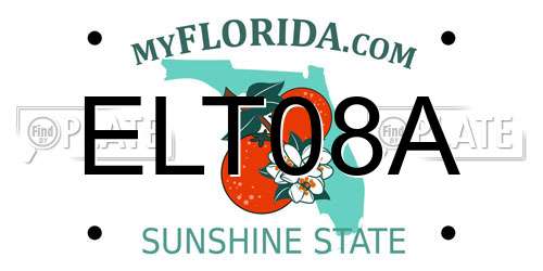 ELT08A Florida License Plate