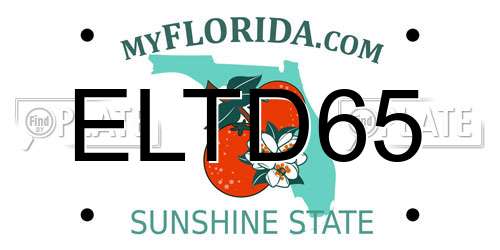 ELTD65 Florida License Plate