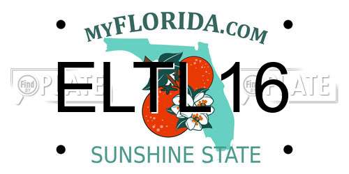 ELTL16 Florida License Plate