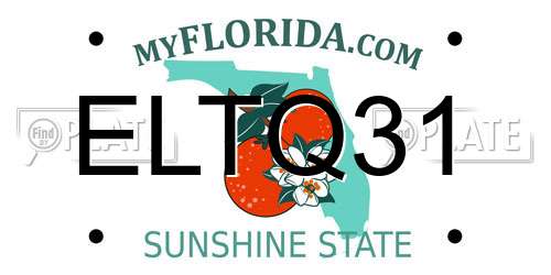 ELTQ31 Florida License Plate